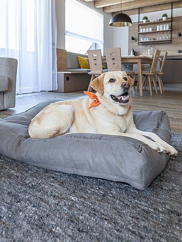 Dog-friendly hotel Upper Austria, Hinterstoder apartment