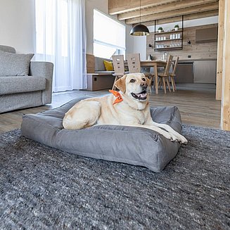 Urlaub mit Hund, Oberösterreich - ALPRIMA Aparthotel