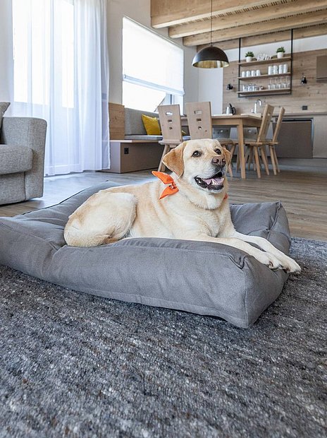 Urlaub mit Hund, Oberösterreich - ALPRIMA Aparthotel Urlaub mit Hund, Oberösterreich - ALPRIMA Aparthotel