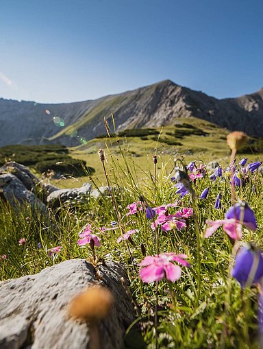 Kletter-Urlaub Pyhrn Priel - Klettersteig & -garten 