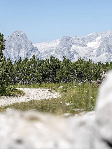 Kletter-Urlaub Pyhrn Priel - Klettersteig & -garten 